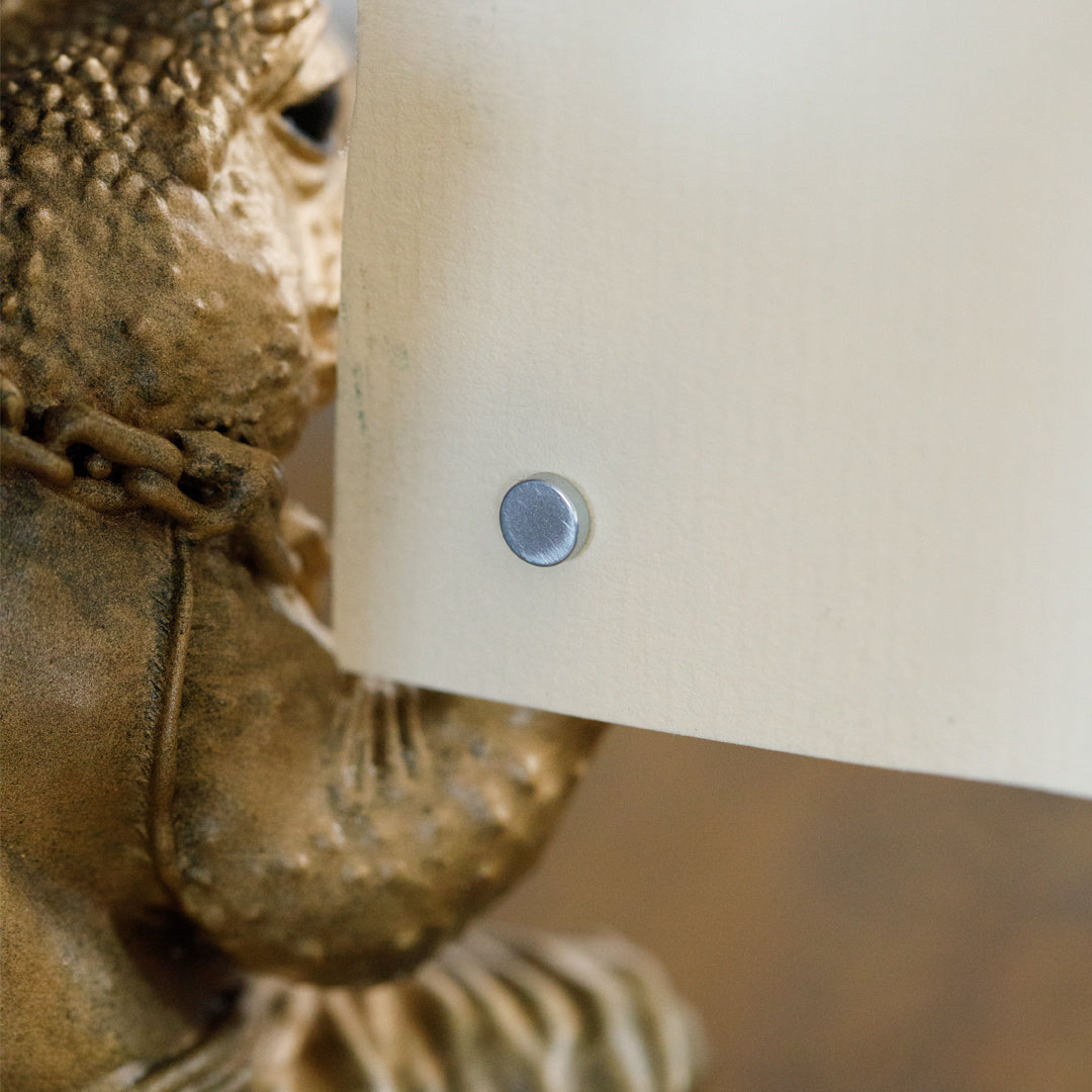 ''Relax Kurbağa Sensei'' Kalemlik-Notluk